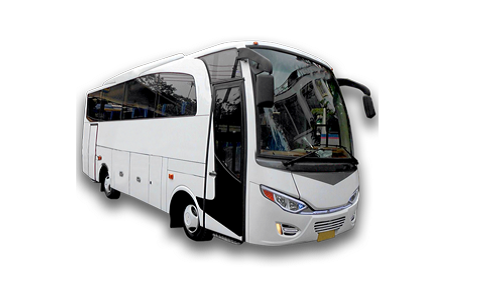 Medium Bus (32 Seat)